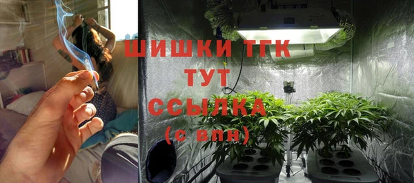 амф Няндома