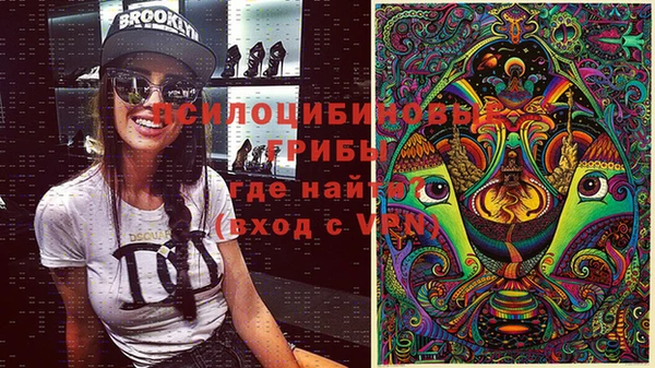 амф Няндома