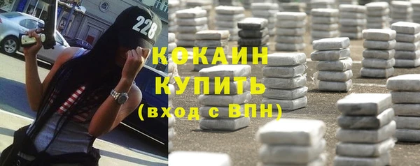 амф Няндома