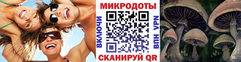 МЕГА как зайти  Приволжск  Псилоцибиновые грибы мицелий  купить  